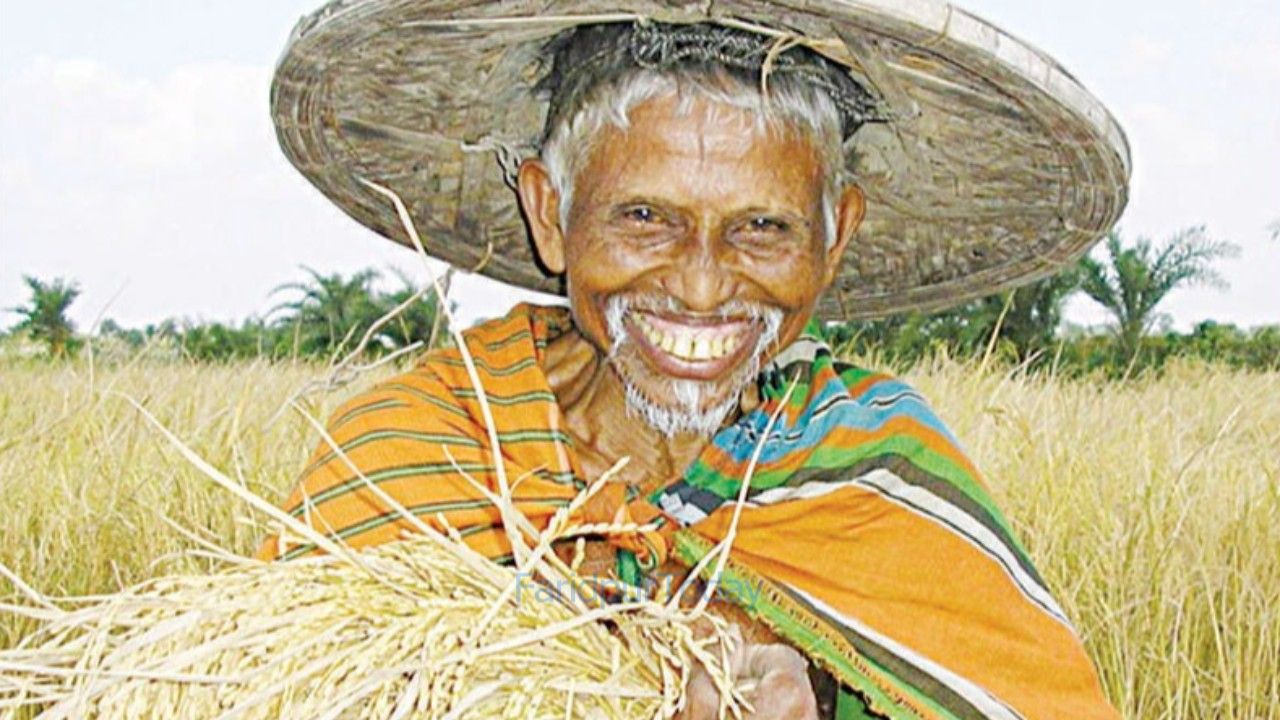 হরিধানের উদ্ভাবক কৃষক-বিজ্ঞানী হরিপদ কাপালী: মাঠের মাটিতে নতুন ধানের ইতিহাস